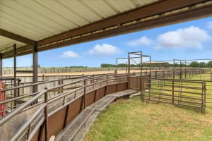 Jacksboro, TX 76458