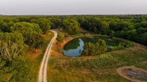 Sulphur Springs, TX 75482