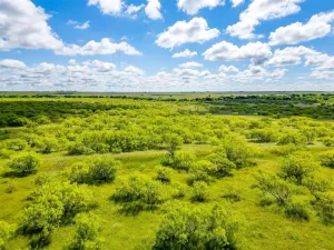 Bellevue, TX 76228