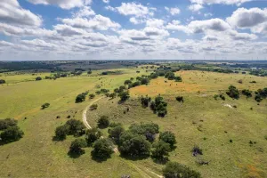 Hamilton, TX 76531
