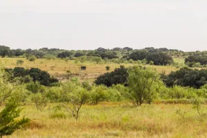 Mullin, TX 76864