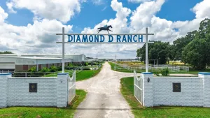 Lone Oak, TX 75453