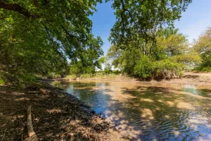 Coleman, TX 76834