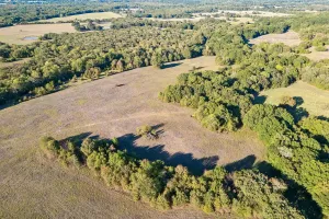 Point, TX 75472