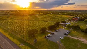 Dublin, TX 76446