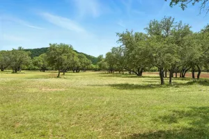 Lawn, TX 79530