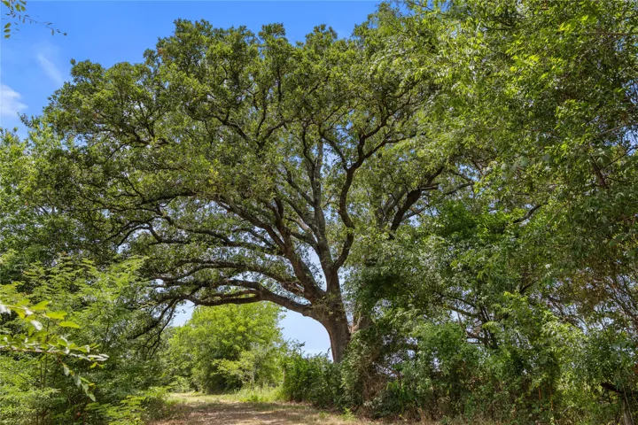 Kemp, TX 75143