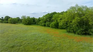 Rainbow, TX 76077