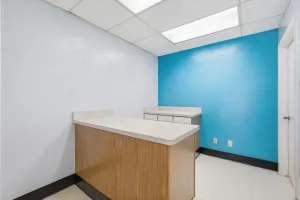 Plano, TX 75075