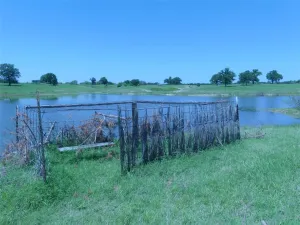 Forestburg, TX 76239