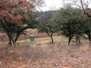 Gorman, TX 76454