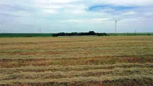 Frost, TX 76641