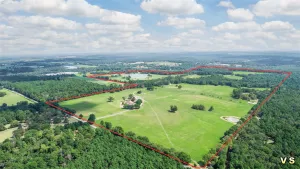 Winnsboro, TX 75494