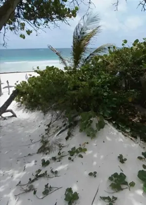 Tulum, OS 77780