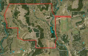 Purmela, TX 76566