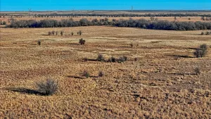 Petrolia, TX 76377
