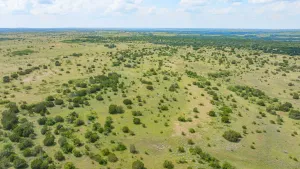 Carlton, TX 76436
