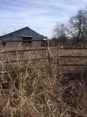 Ladonia, TX 75449