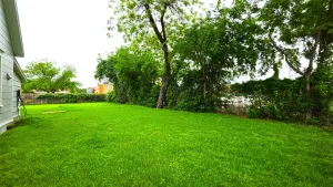 Lewisville, TX 75057