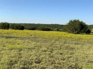 Carlton, TX 76436