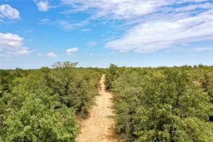 Perrin, TX 76486