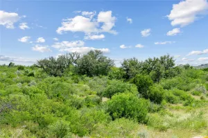 Uvalde, TX 78801