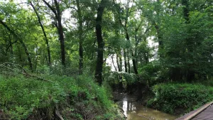 Kerens, TX 75144