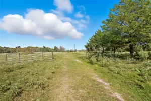 Lone Oak, TX 75453