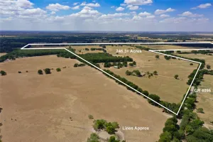 Scurry, TX 75158