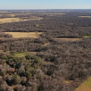 Bridgeport, TX 76426