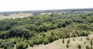 Terrell, TX 75161
