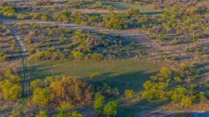 Comanche, TX 76442