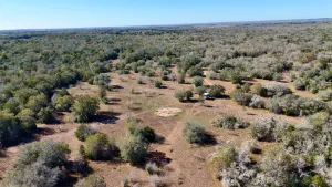 Gonzales, TX 78632