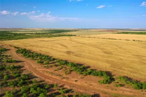 Haskell, TX 79521