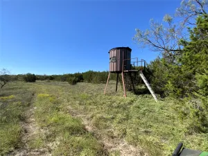 Carlton, TX 76436