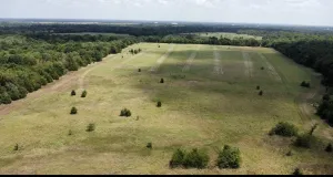 Terrell, TX 75161