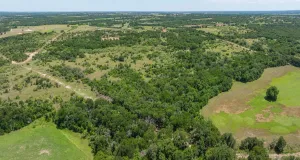 Stephenville, TX 76401