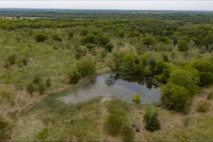 Wills Point, TX 75169