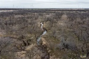 Clyde, TX 79510