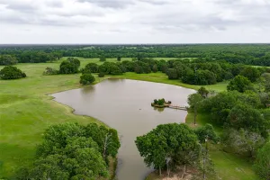 Wills Point, TX 75169