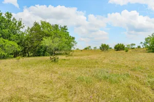 Carlton, TX 76436