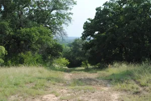 Comanche, TX 76442