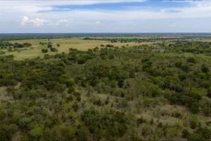 Wills Point, TX 75169
