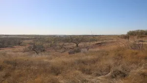 Abilene, TX 79601