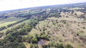 Kaufman, TX 75142