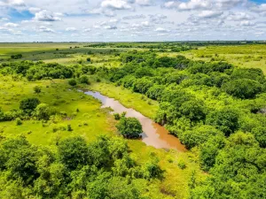 Bellevue, TX 76228