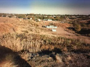 Borger, TX 79007