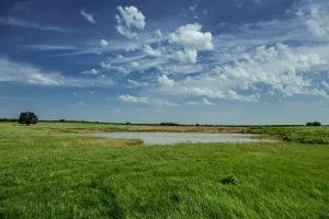 Henrietta, TX 76230