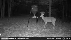 Whitesboro, TX 76273