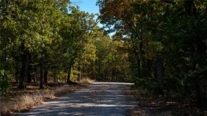 Collinsville, TX 76233